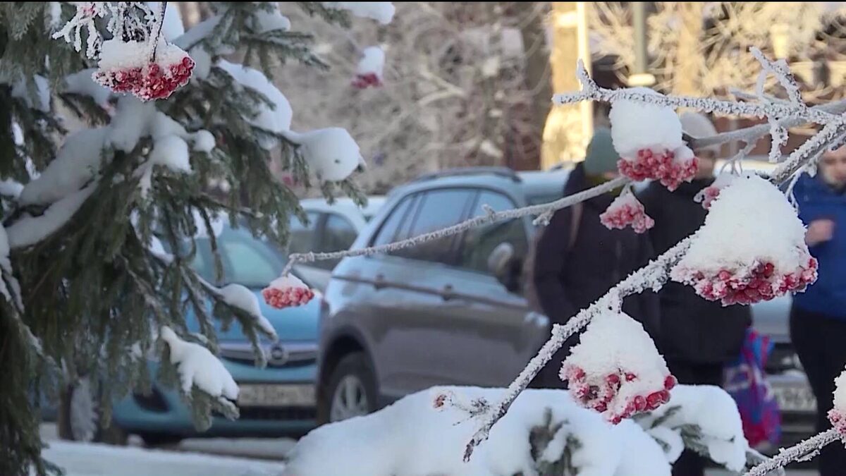    К концу рабочей недели мороз в Башкирии ослабеет