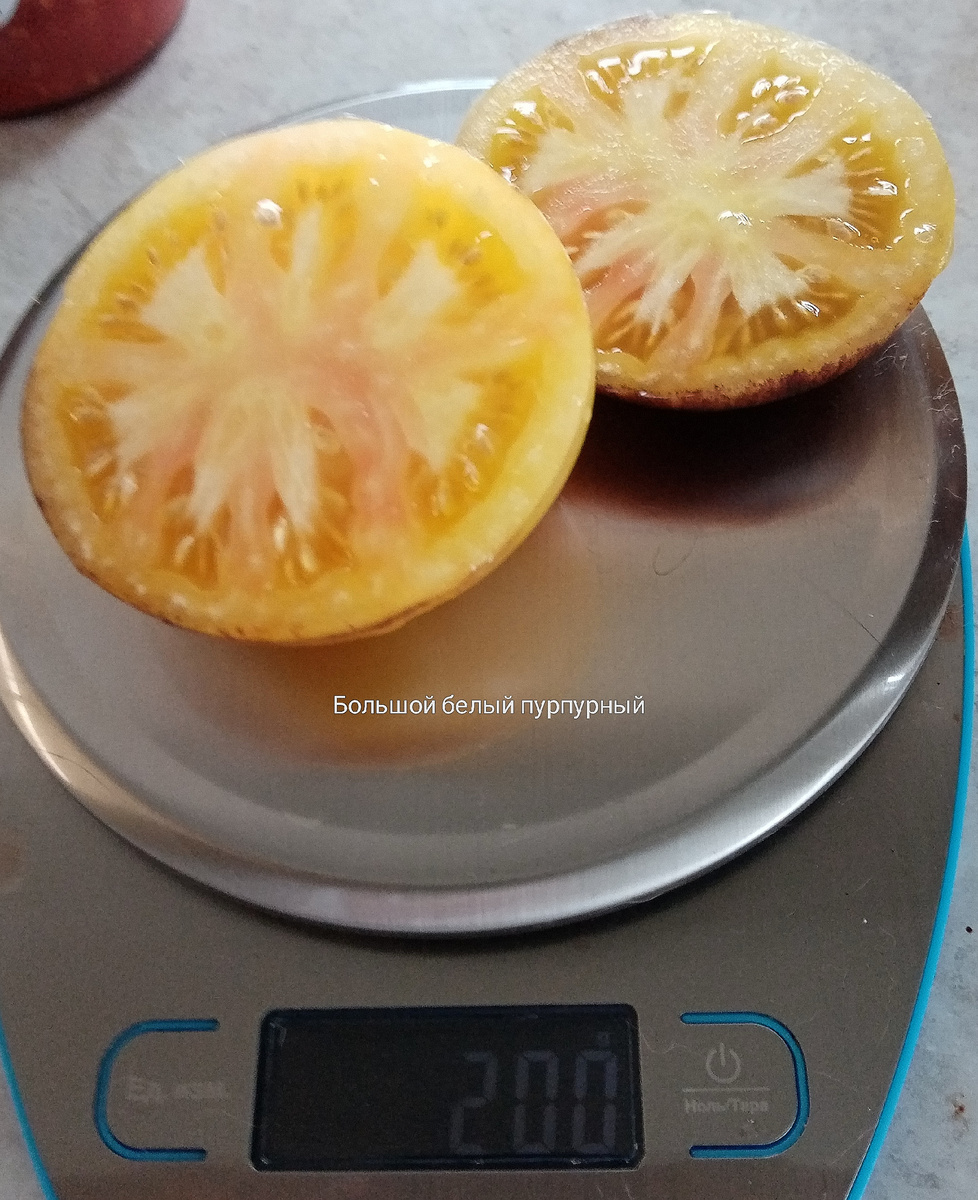 Фото автора. Вид плода сорта Большой белый фиолетовый в разрезе.