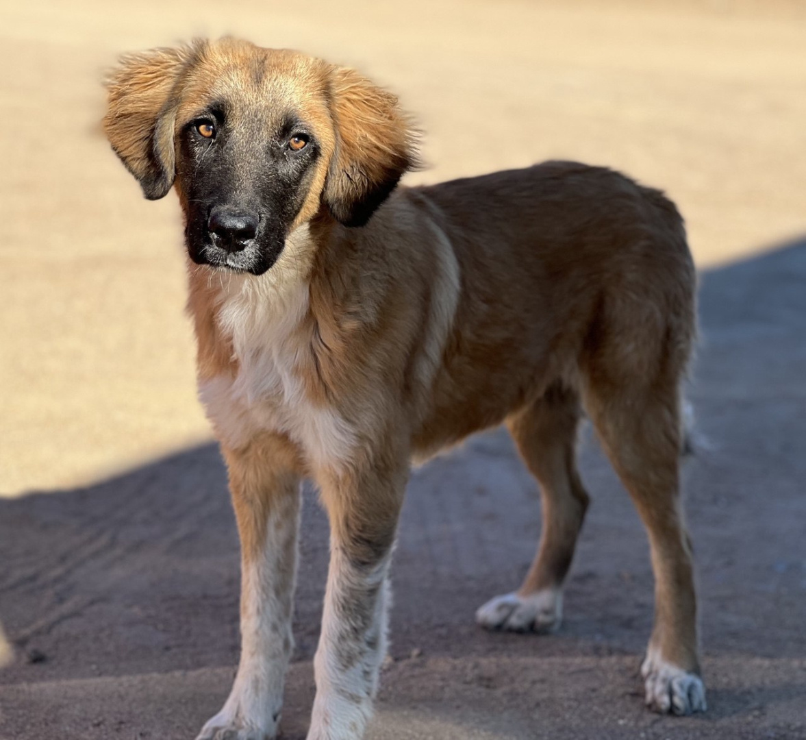 Фото: Елена Кокорина, Номер один