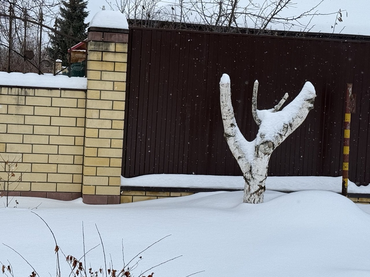 Фото автора канала Дом с кипарисами