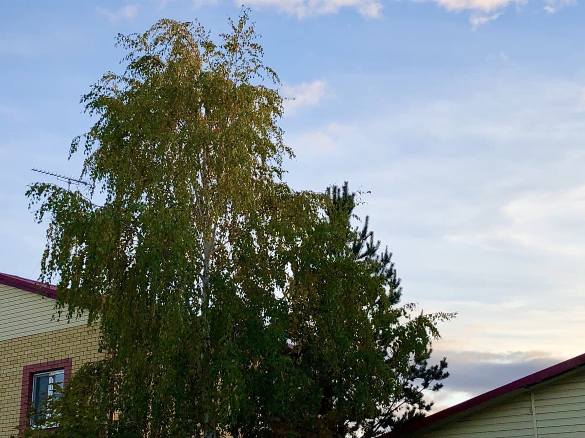 Фото автора канала Дом с кипарисами