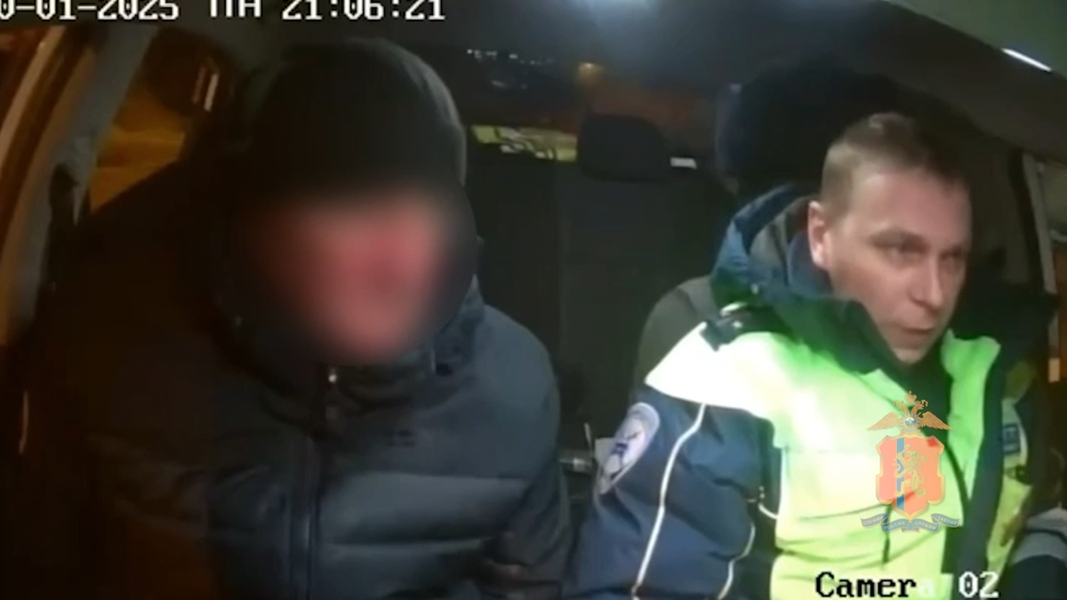     Красноярца лишили прав за сбитую на зебре девочку