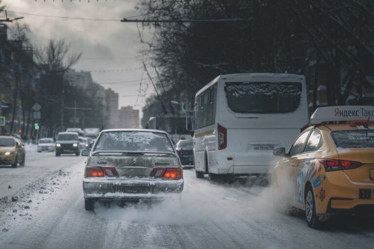    Фото: unsplash.com/Egor Myznik Илья Федоров