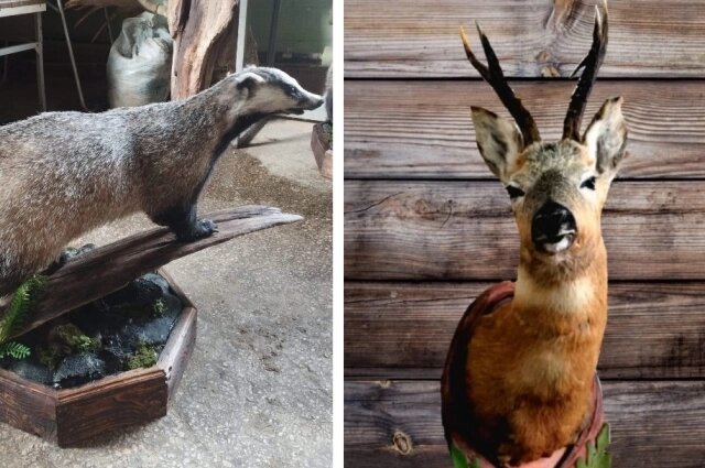    Работы Александра. Фото: Предоставлено героем публикации