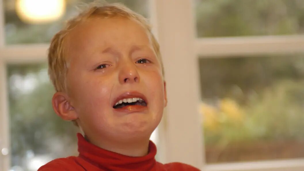    Фото: Birgit Koch/imageBROKER.com/Globallookpress