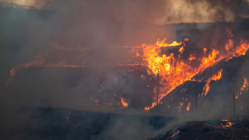   Gettyimages.ru Brandon Bell