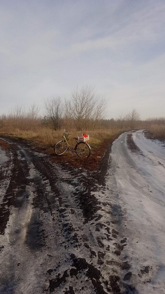 Перед самым Новым годом жительница Добринки Наталия Игнатова отправилась на велопрогулку по окрестностям поселка. Из-за грязи на проселочной дороге большую часть пути велосипед пришлось вести в поводу. 