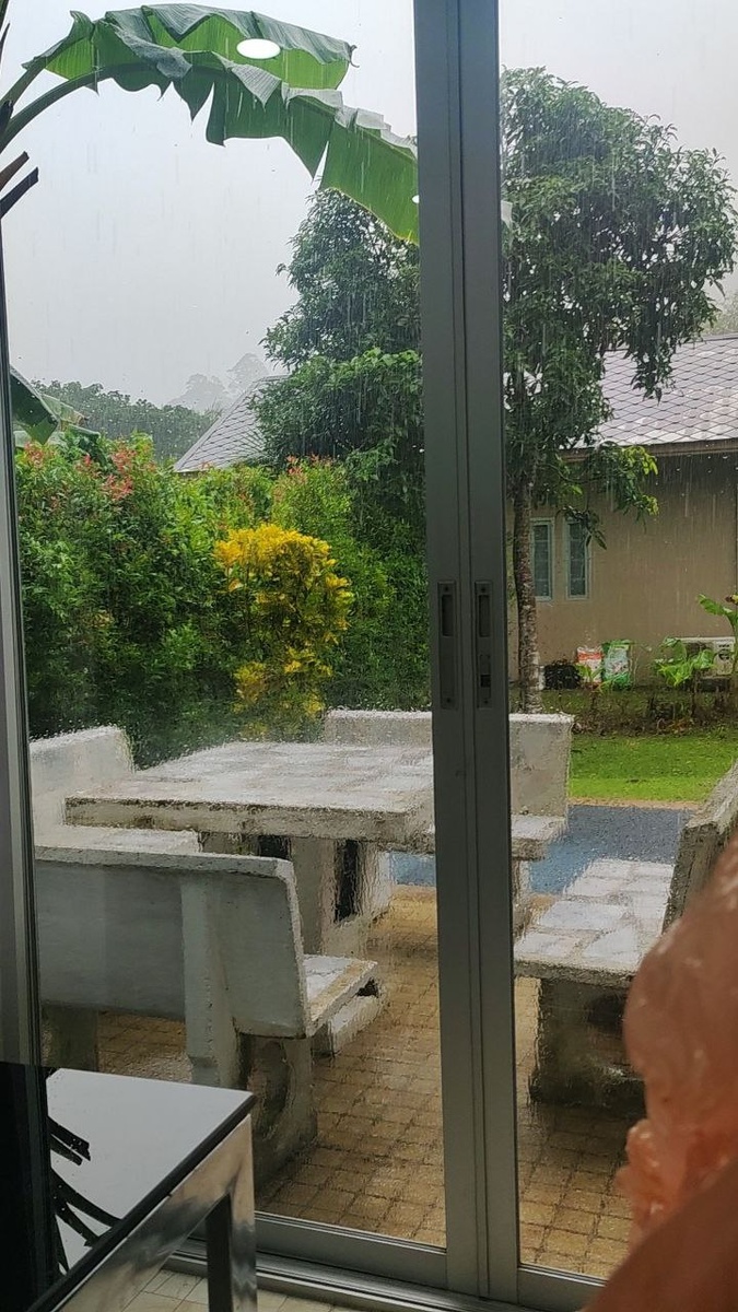 ...а потом опять пошел дождь...