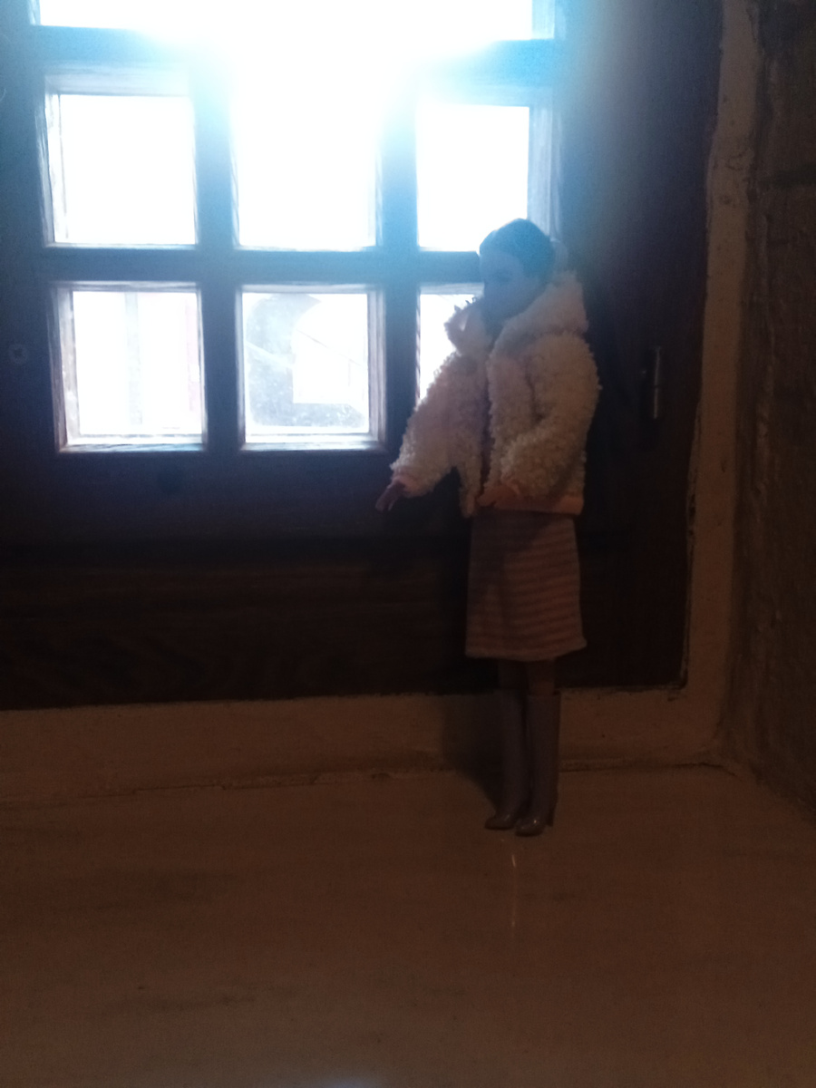 Джема у окошечка. Фото автора.