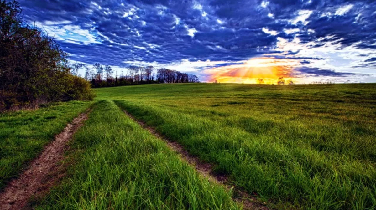 Пейзаж. Поле, дорога 2 колеи, закат, лес густой слева, лес не густой в дали, холм справа ...