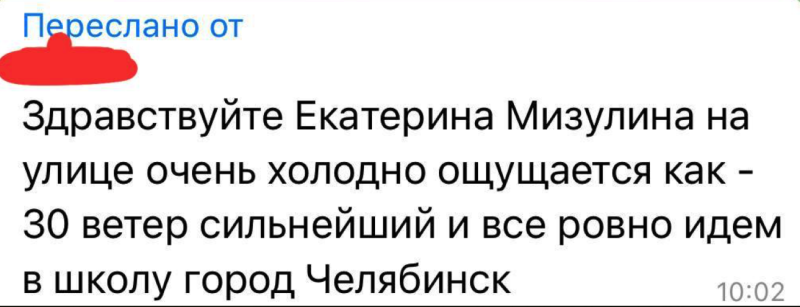    Фото: тг-канал Екатерины Мизулиной.
