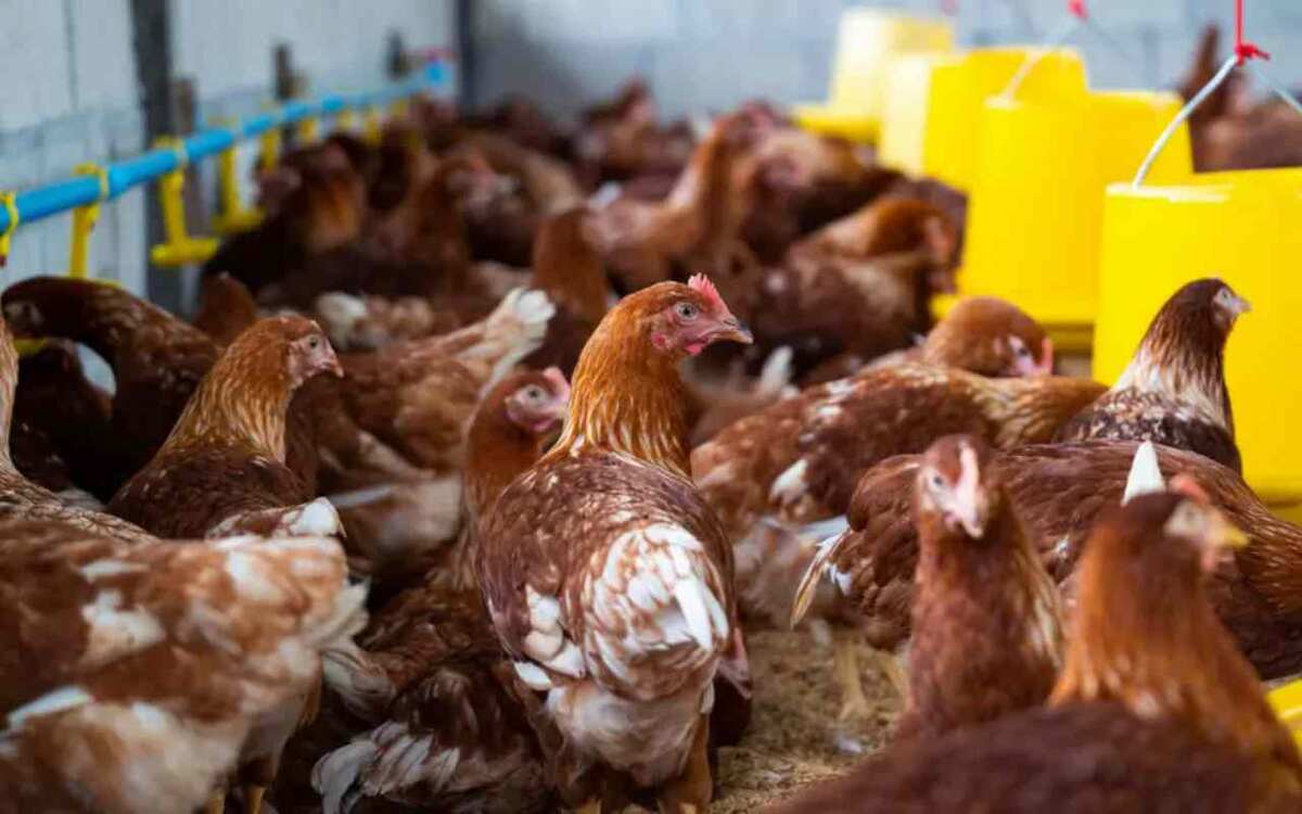    На фоне слухов о продаже «Приосколья» в структуре холдинга меняют топ-менеджера Фото с сайта ru.freepik.com