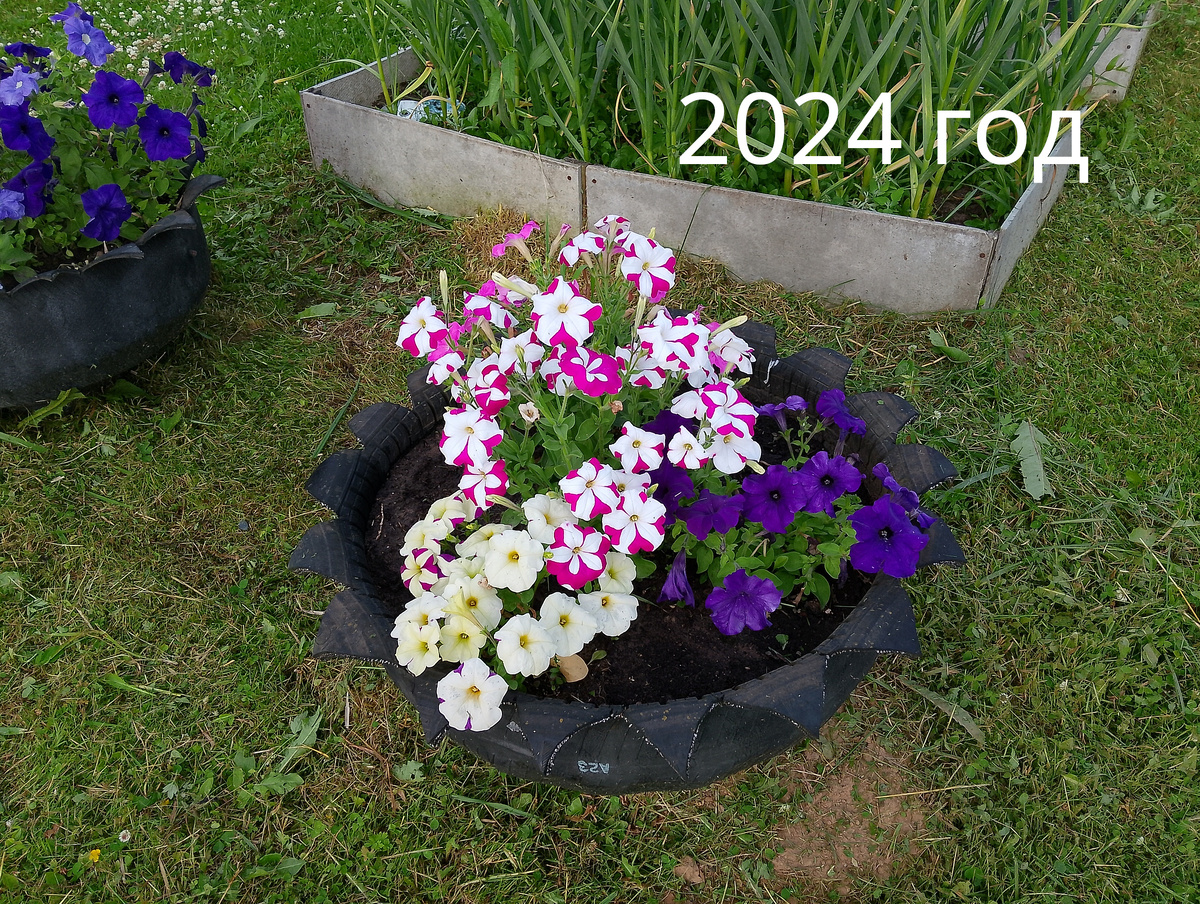 Здесь какая то из синих