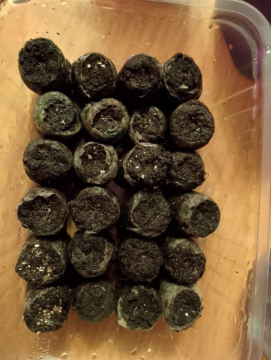 Кривые таблетки) 