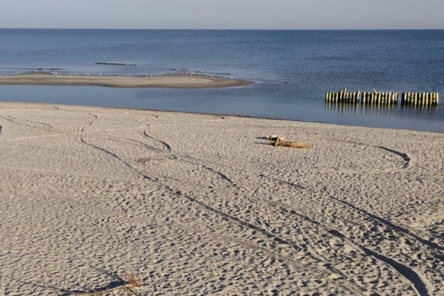   Фото с сайта администрации Зеленоградска