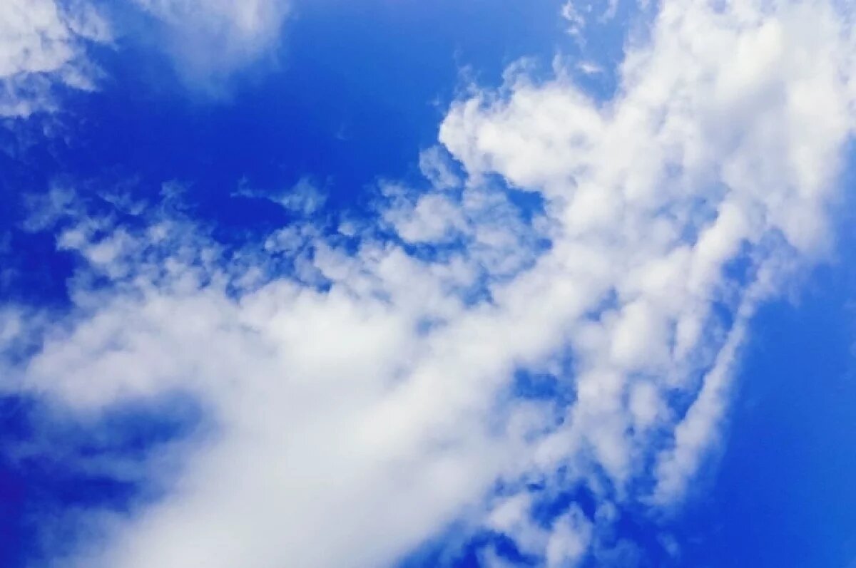    На Кубани 23 января воздух прогреется до +13 градусов