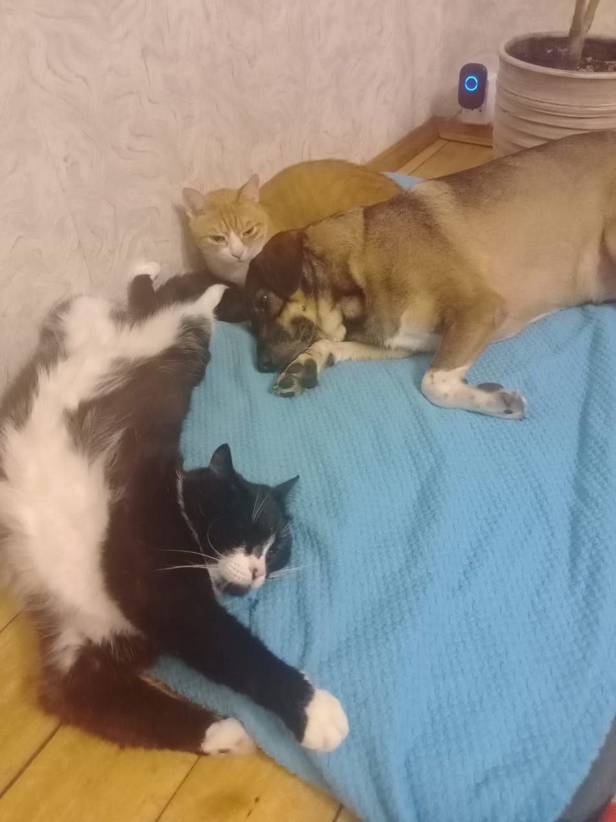 В таком окружении настоящих друзей Ефим точно счастлив!