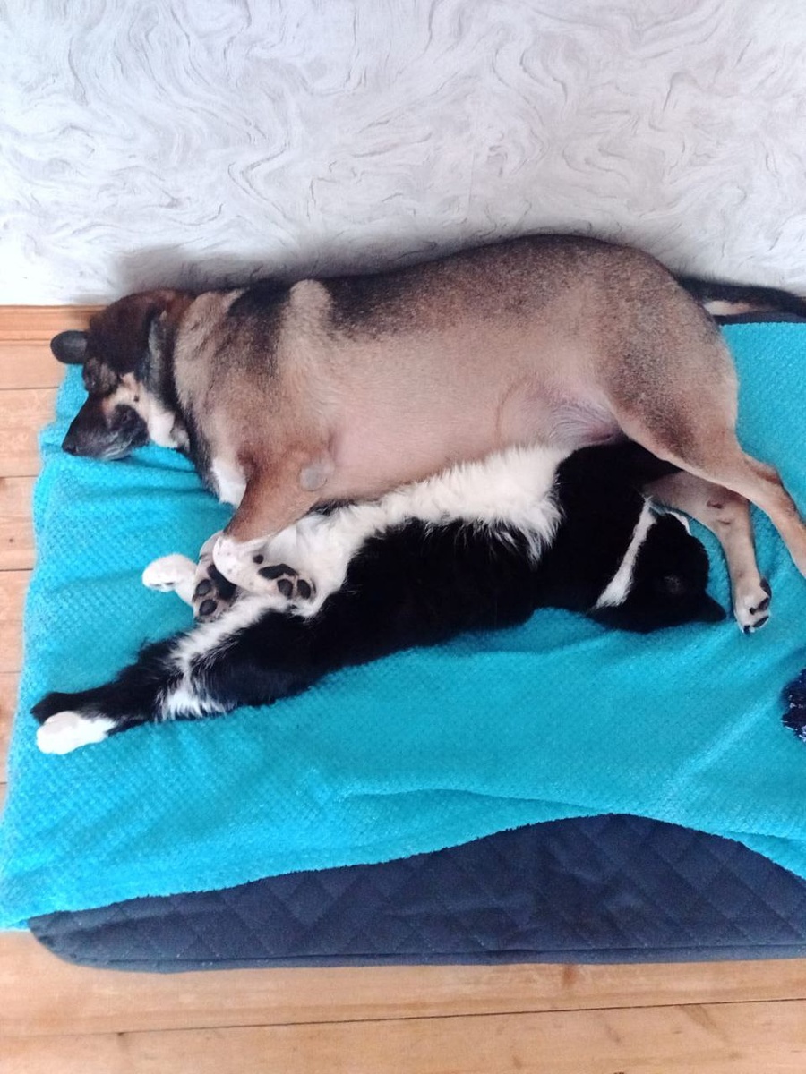 Такими фотографими просто невозомжно не поделиться!