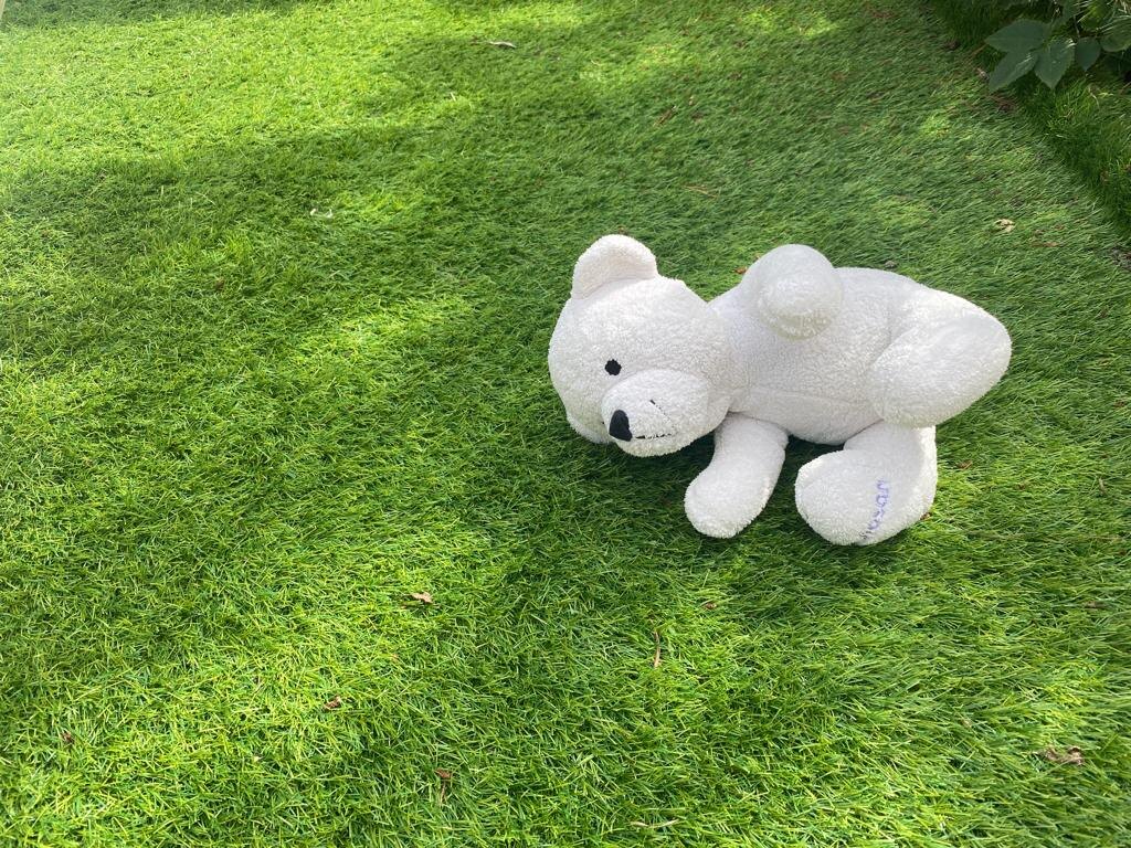    Фото: «В курсе.ру» Екатерина Устькачкинцева