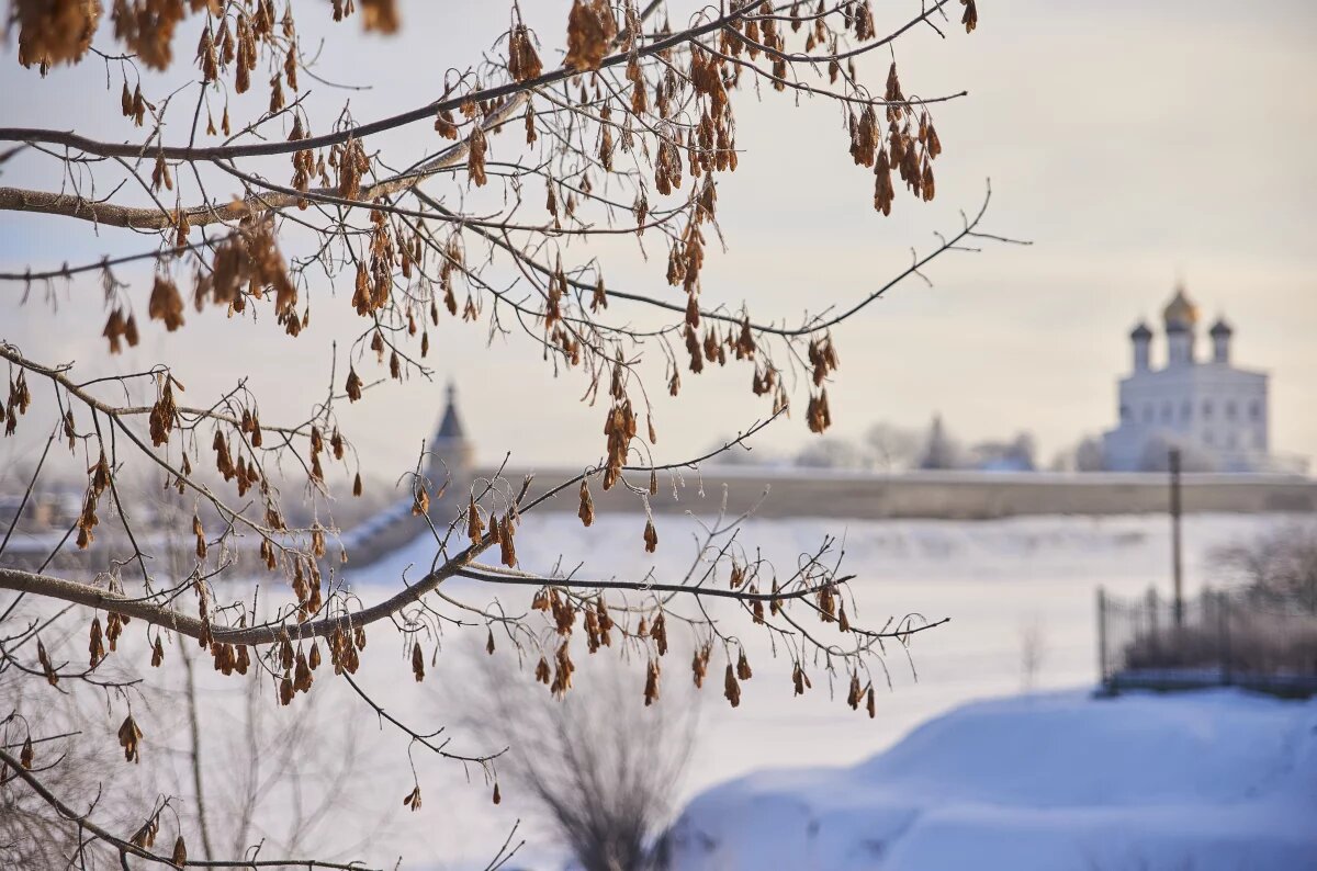    До +2 градусов ожидается в Псковской области 23 января