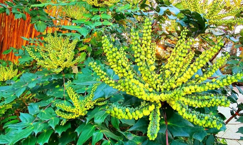    Фото t.me/park_uzk