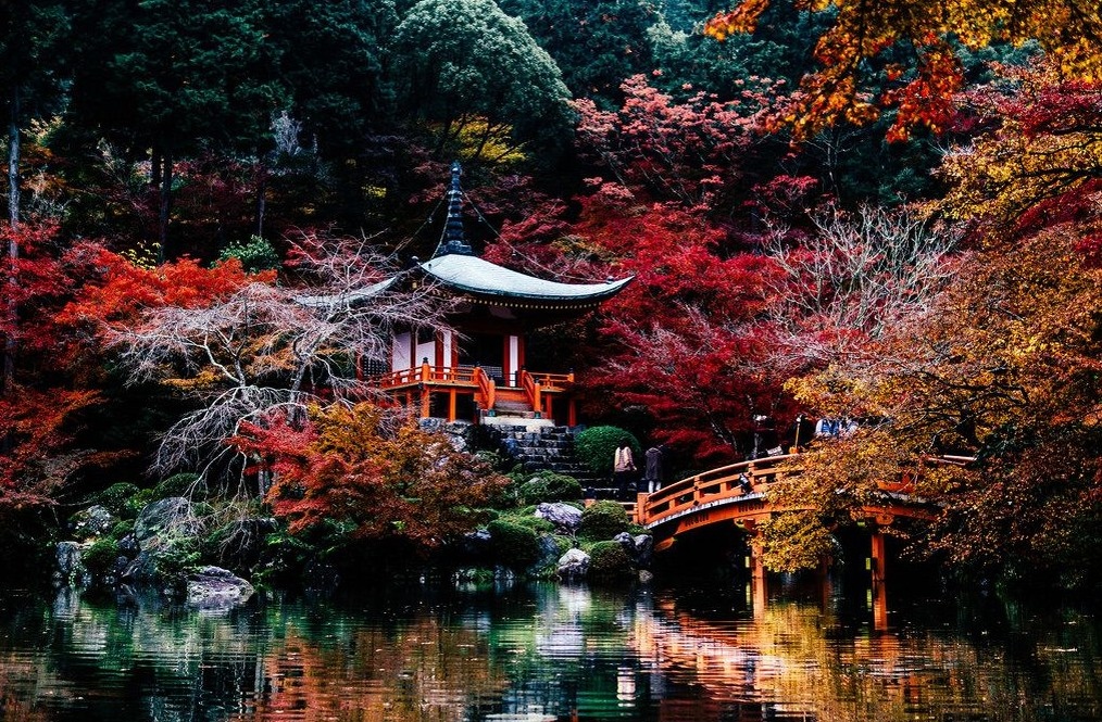 Природа Киото