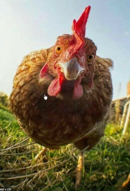 ФОТО ИЗ ИНЕТА