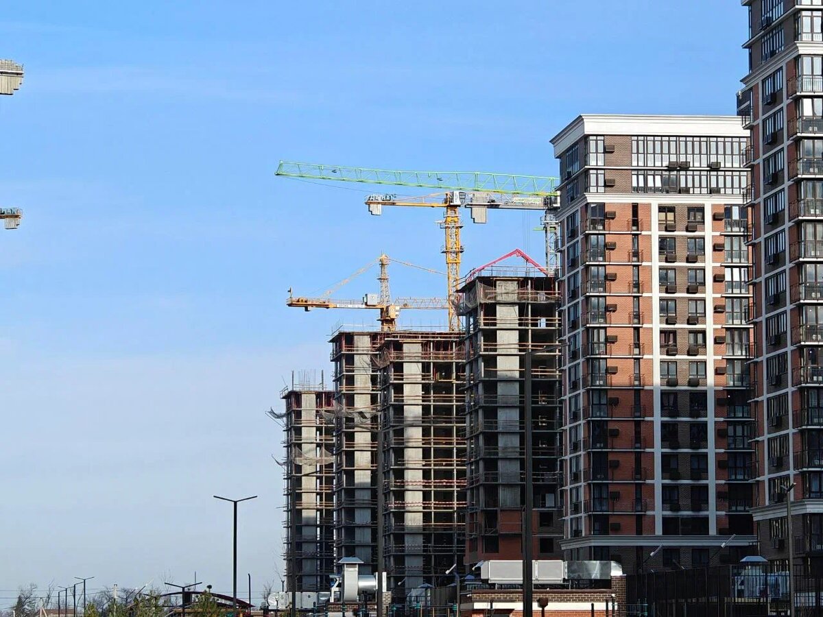    Фото: Юрий Серебренников/BFM Кубань