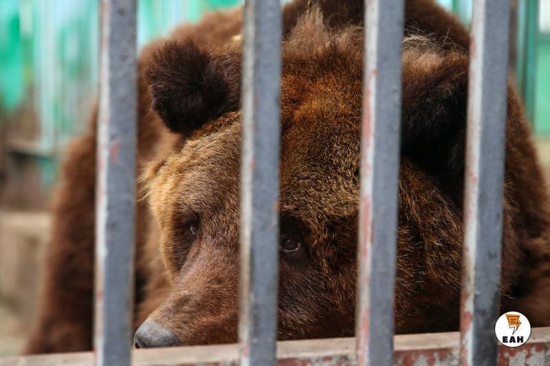    ЕАН. Архивное фото