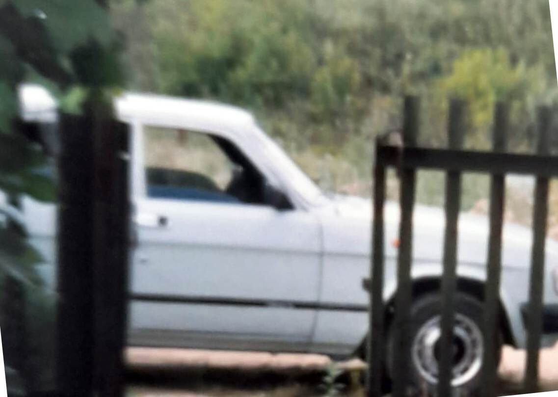 Волга на даче, фото из фотоальбома