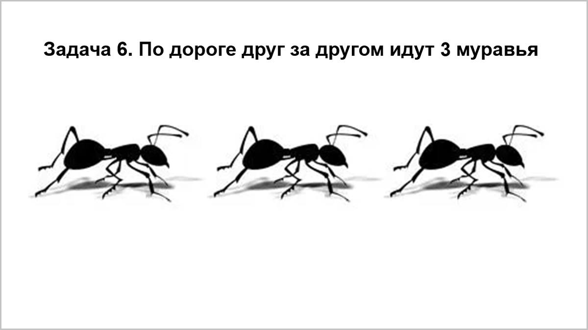 Задача про трех муравьев. 7 задач с подвохом: ломают мозг и ставят в тупик. Решать с улыбкой)))