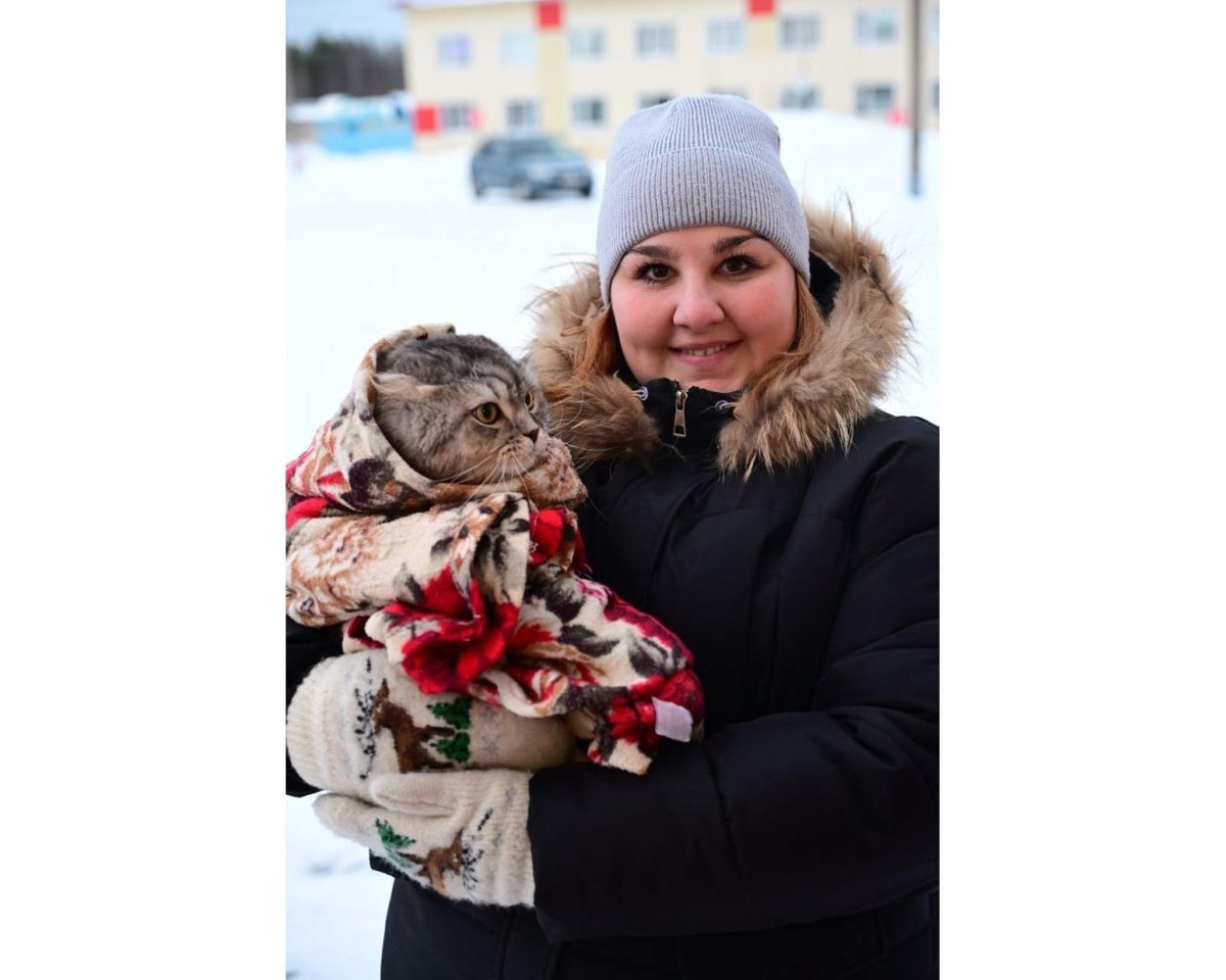    Из фенольного в комфортное