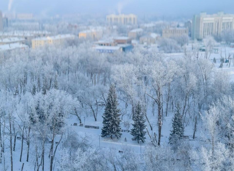    Барнаул. Зима . Источник: Предоставлено "Толку"