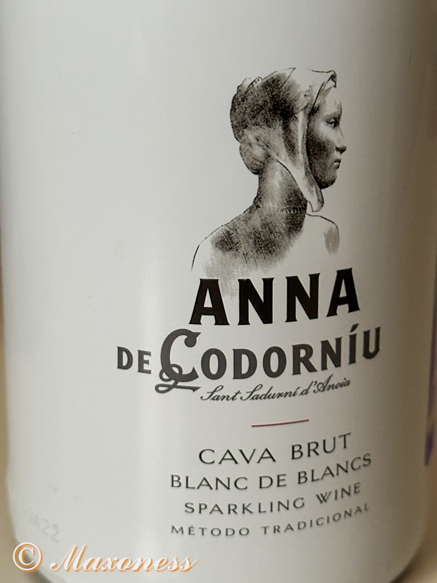 Испанская винодельческая компания Codorníu - Именитый производитель игристого вина Cava