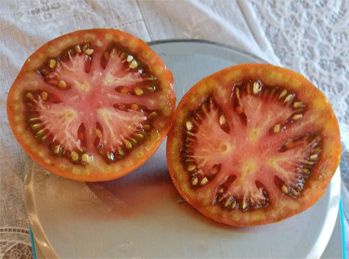 Фото автора. Плод сорта Пиковая дама в разрезе.