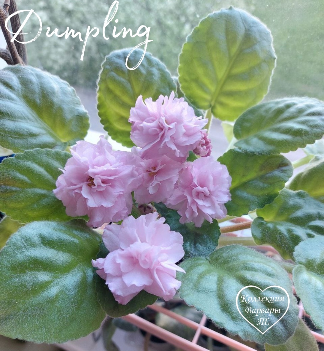 Листайте дальше 👉👉👉