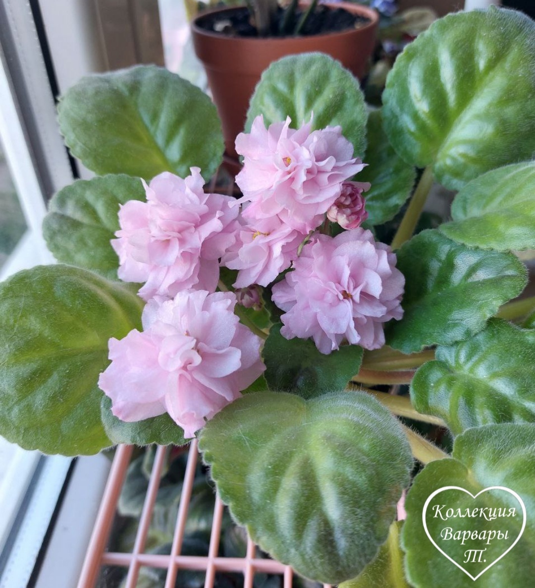 И еще дальше👉👉👉