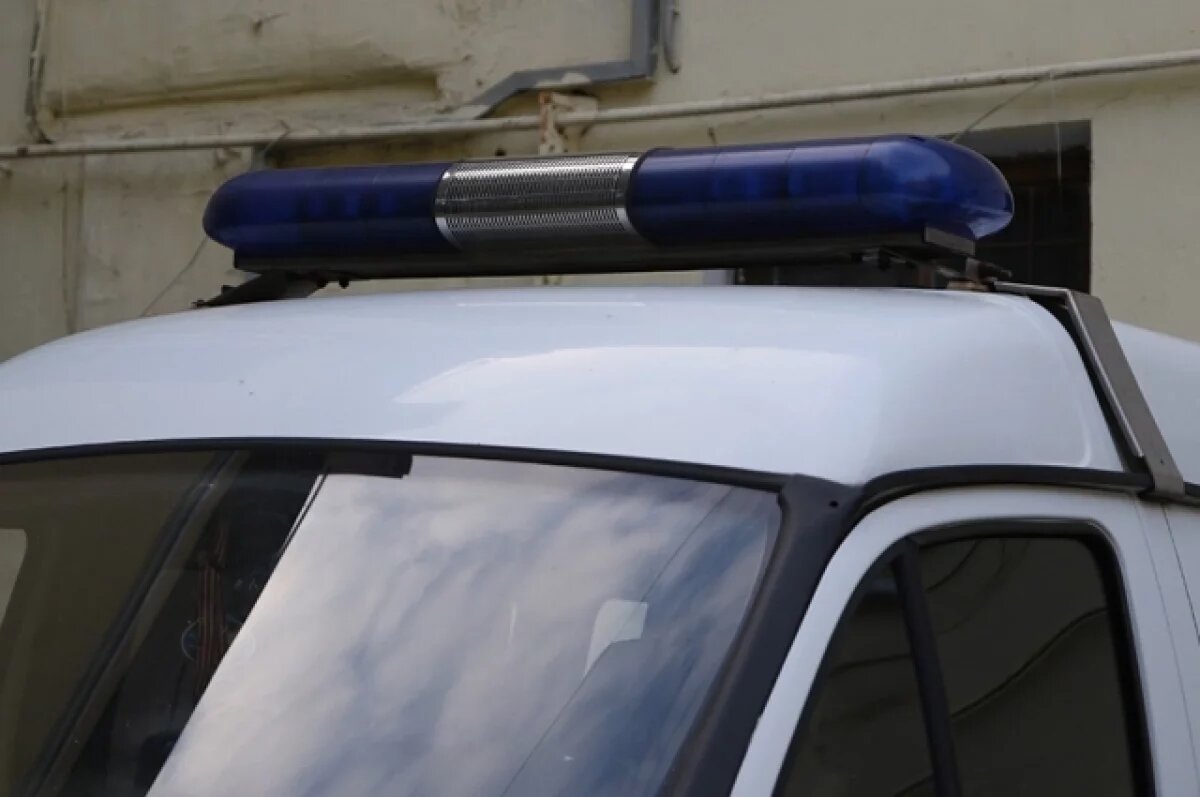    Mash: в Подмосковье на входе в школу задержан ученик с ножом и топориком