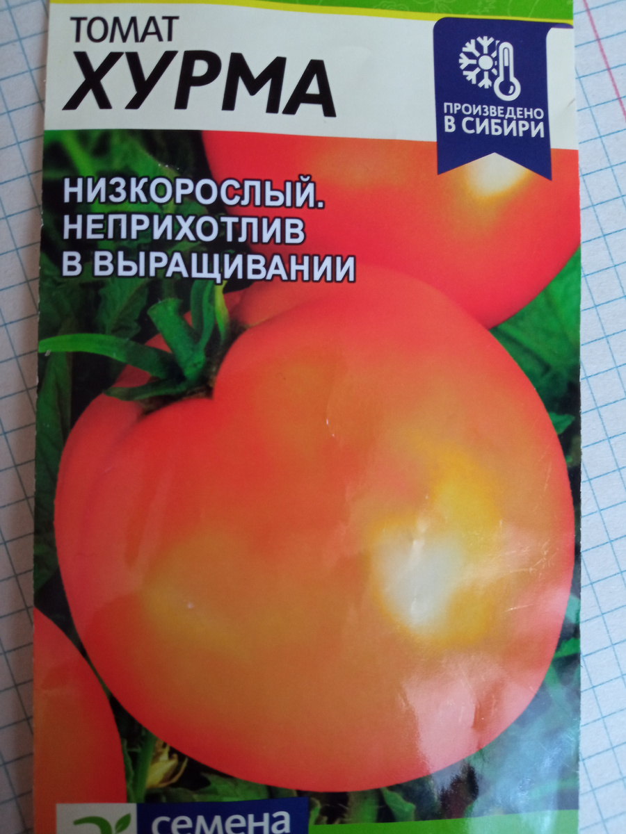 Фото автора. Томаты Хурма. 