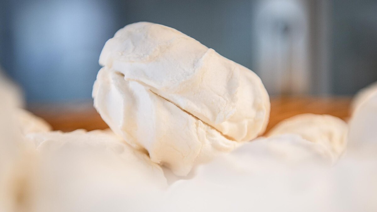    Фото: Ilya Moskovets/globallookpress.com