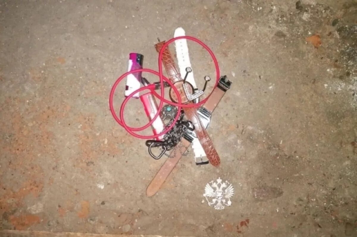    Полиция задержала 2 мужчин за 3 кражи в Шилке