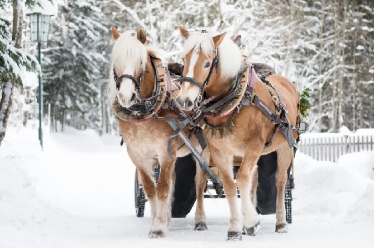    Хабаровск зовёт в поход к древним скалам и на экскурсии к Татьяниному дню