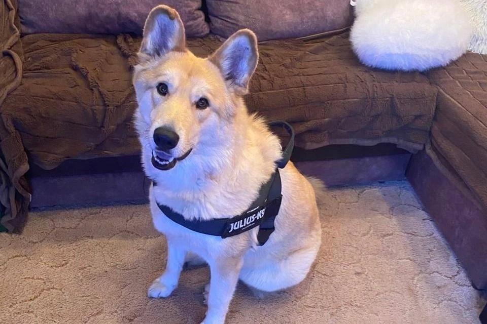    Фото: пресс-служба прокуратуры Петропавловска-Камчатского