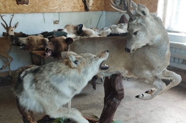    Работы Александра Тарасова. Фото: Предоставлено героем публикации