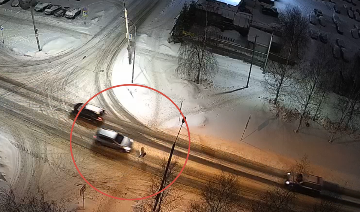    Скриншот из видео