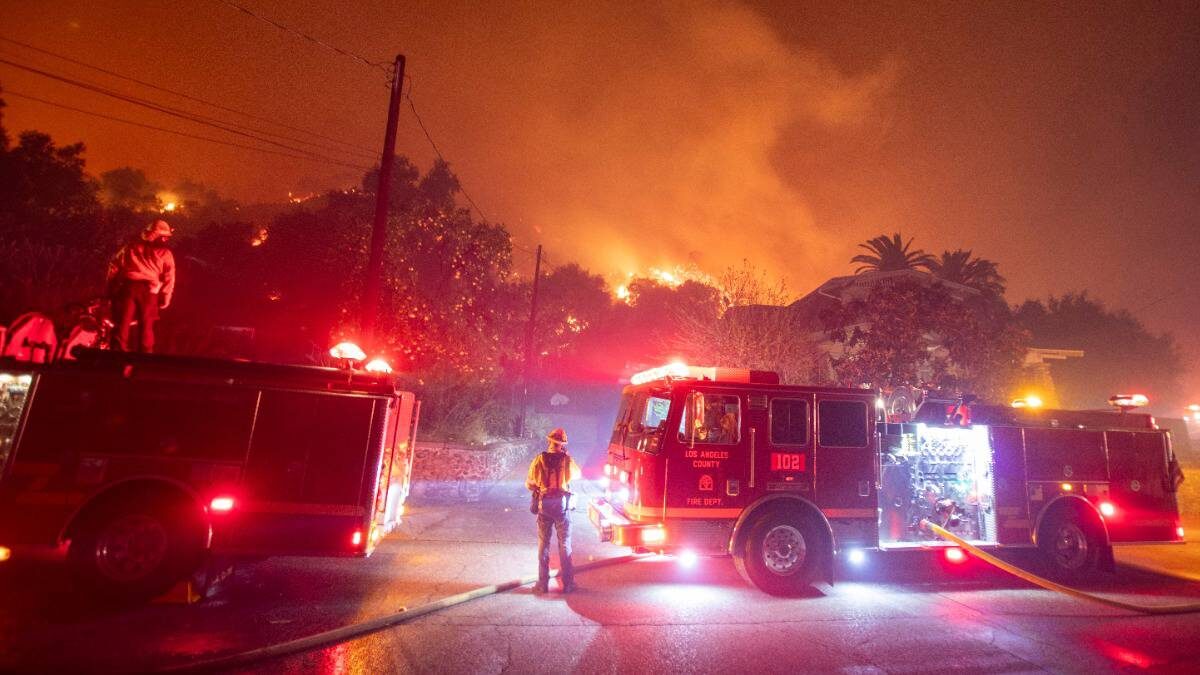    Фото: Shutterstock