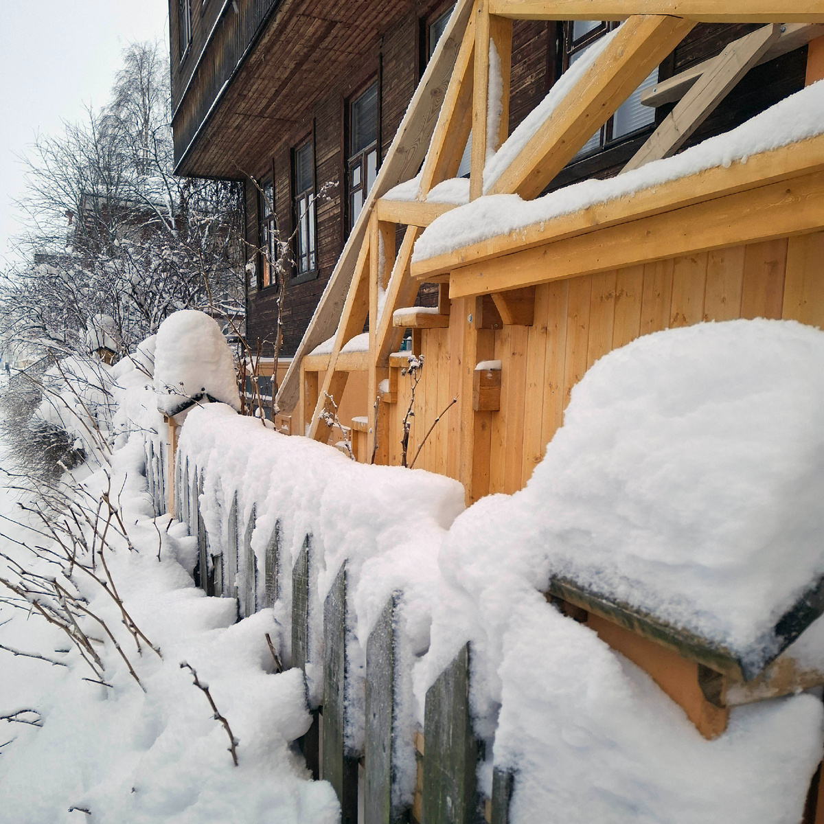 Белый-белый снег, как в детстве. А цитата, приведённая выше - из сказки «Морожены песни» Степана Писахова.