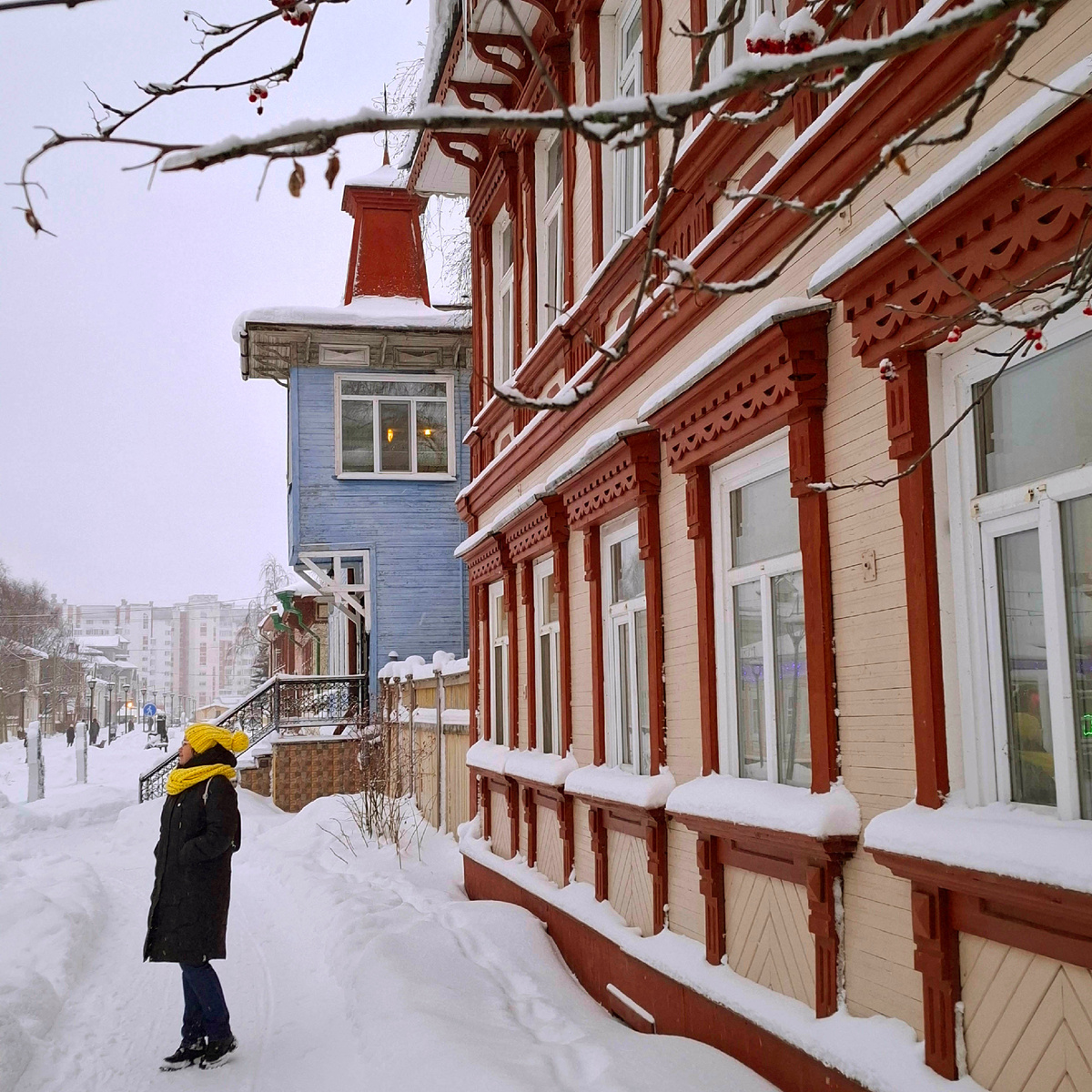 Архангельск, Чумбаровка (точнее - проспект Чумбарова-Лучинского). Январь 2025 года.
