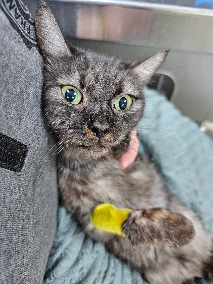 Фото автора. НинО.