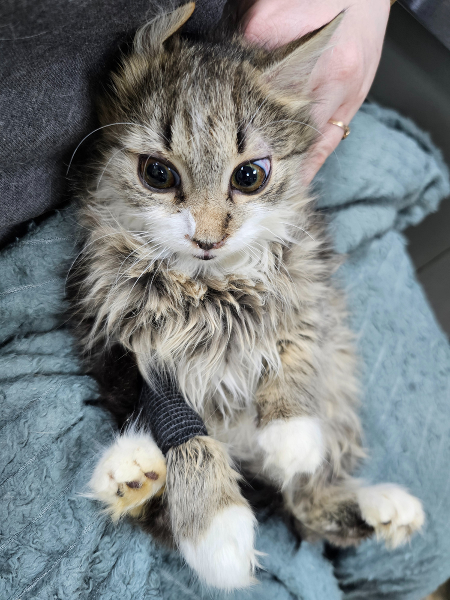 Фото автора. Ир Ирыч.